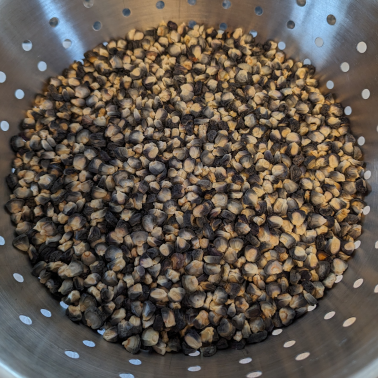 Blue-Black Corn; Bulk Sorted 10 Cups for Making Nixtamal - Local Pick Up Only